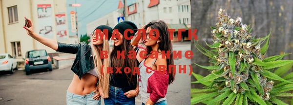 сатива Михайловка